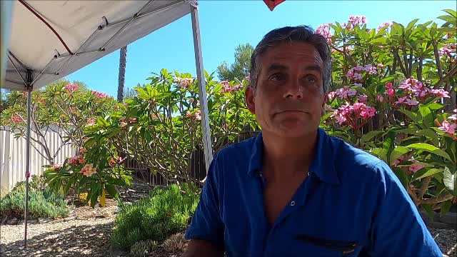 Week 28 Through Genesis 19:1-14 With Mike