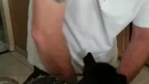 Loki's first bath