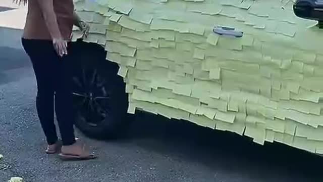 The BEAUTIFUL woman CAR IS pastED FULL LABEL BY THE husband, THE BEAUTIFUL WOMAN IS VERY ANGRY