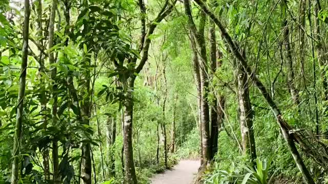 Amantikir Park, Campos do Jordão.