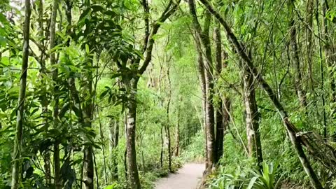 Amantikir Park, Campos do Jordão.