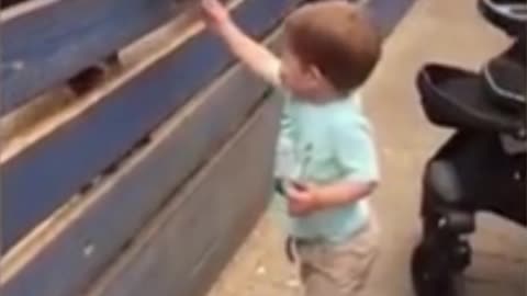 Kid Feeds Goats And Then Asks For Some Food For Hilself Too