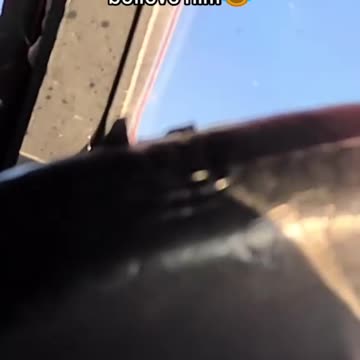 News Interruption | 🐸