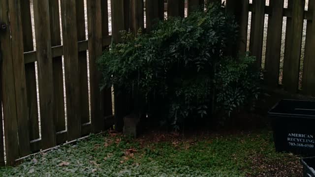Last little snow