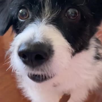 The one time I hit my mom