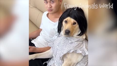 Funny Dogs And Cats Videos 2023