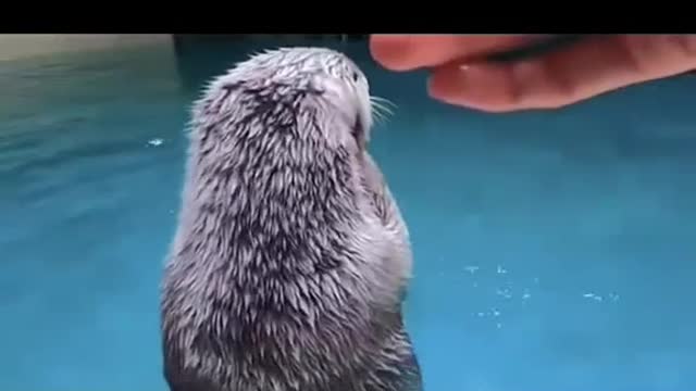Love clean little guy