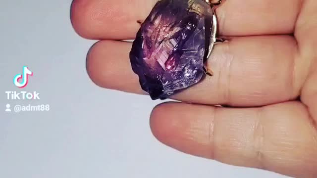 Amethyst beetle