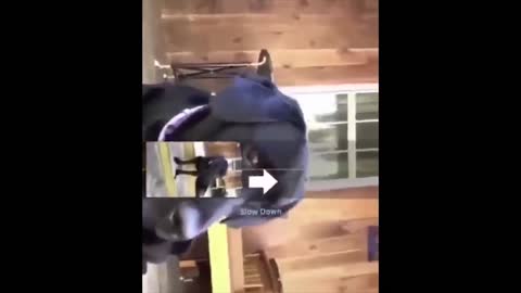 Meme Compilation 8