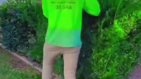 Results are at end🍃🌴🍀☘️