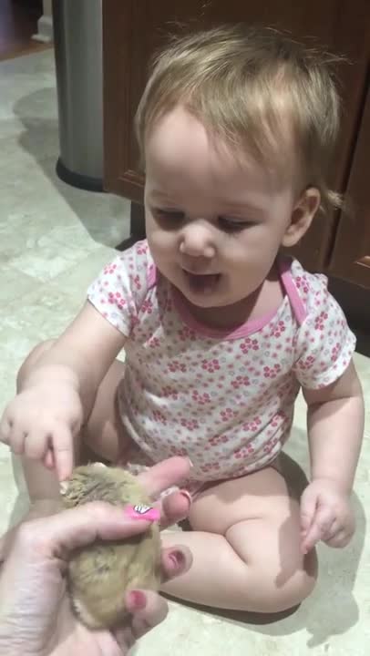 Beba enloquece con el hámster mascota