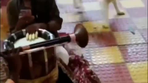 Funny animals😂♾️