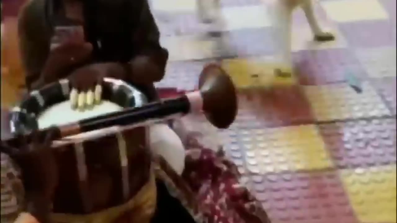 Funny animals😂♾️