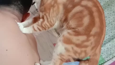 Cat Gives Minutes Long Massage