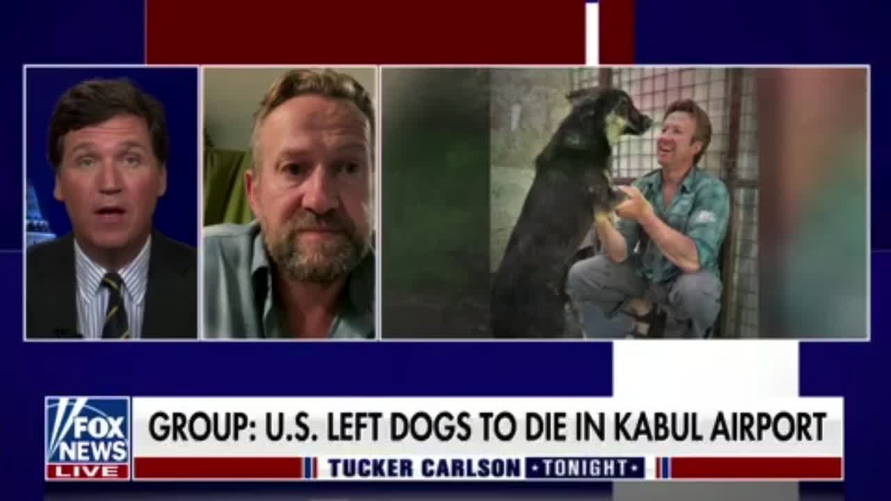 Tucker Carlson talks to a former Royal Marine who rescued animals from Afghanistan