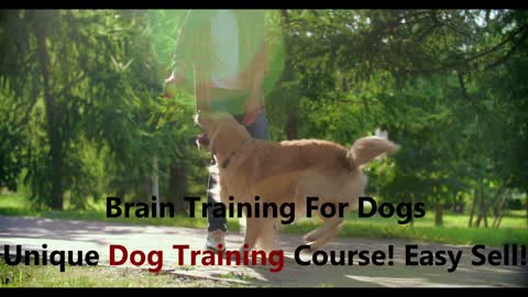 Develop your Dog's "Hidden Intelligence"