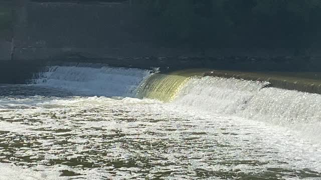 Great White Egret sniper