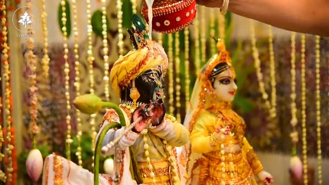 Hare Krishna_ hare Rama _kirtan_ Bhajan _video