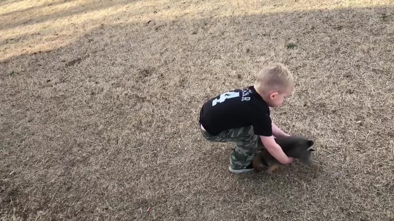 Kid hilariously struggles to pick up elusive puppy