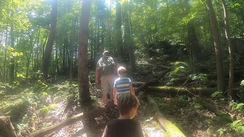 Walk in the Woods