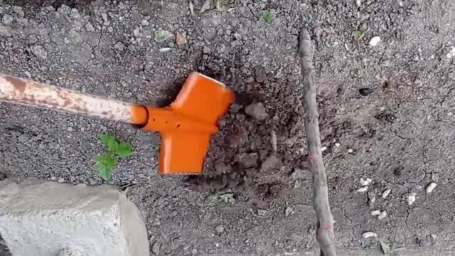 Old iron shovel transformed into a multifunctional tool