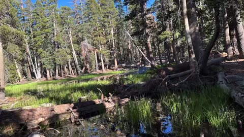 Strawberry Lake Sierra National Park California Aug 2023