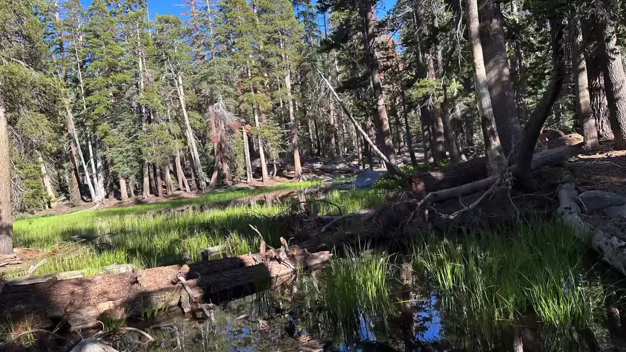 Strawberry Lake Sierra National Park California Aug 2023