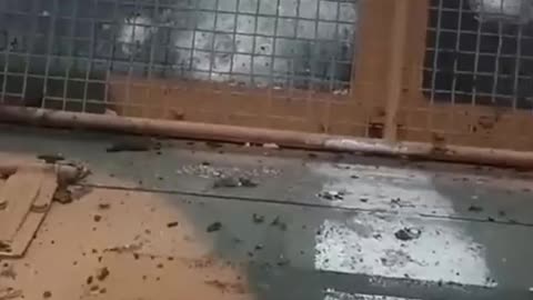 War in ukraine