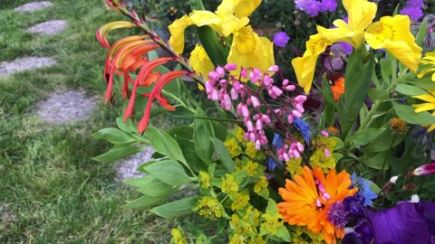 #3 Spring Flower Garden Bouquet of the week 🥀 What's Blooming in my 9b Gardens🌿🌹🌼🥀🌸🌷🌿