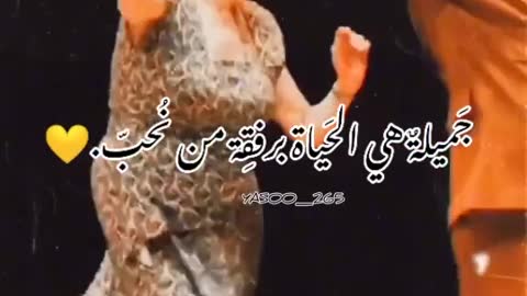 العمر مجرد رقم