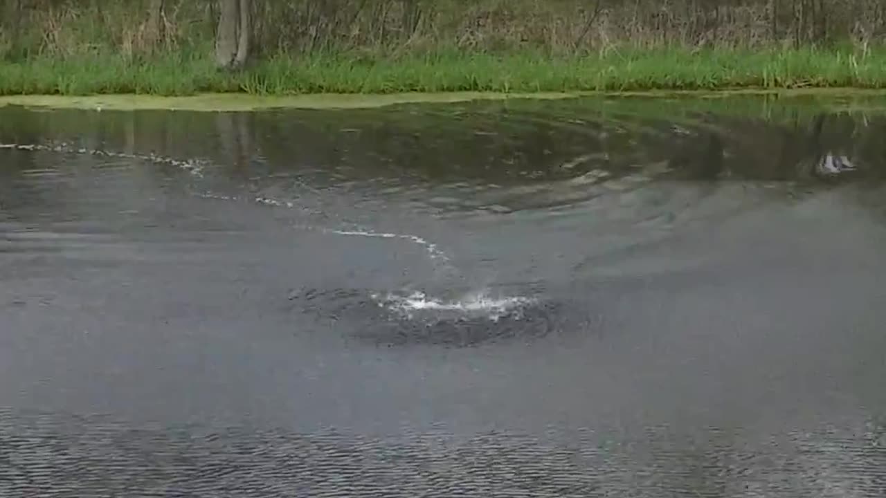 Out-of-Nowhere Waterspout