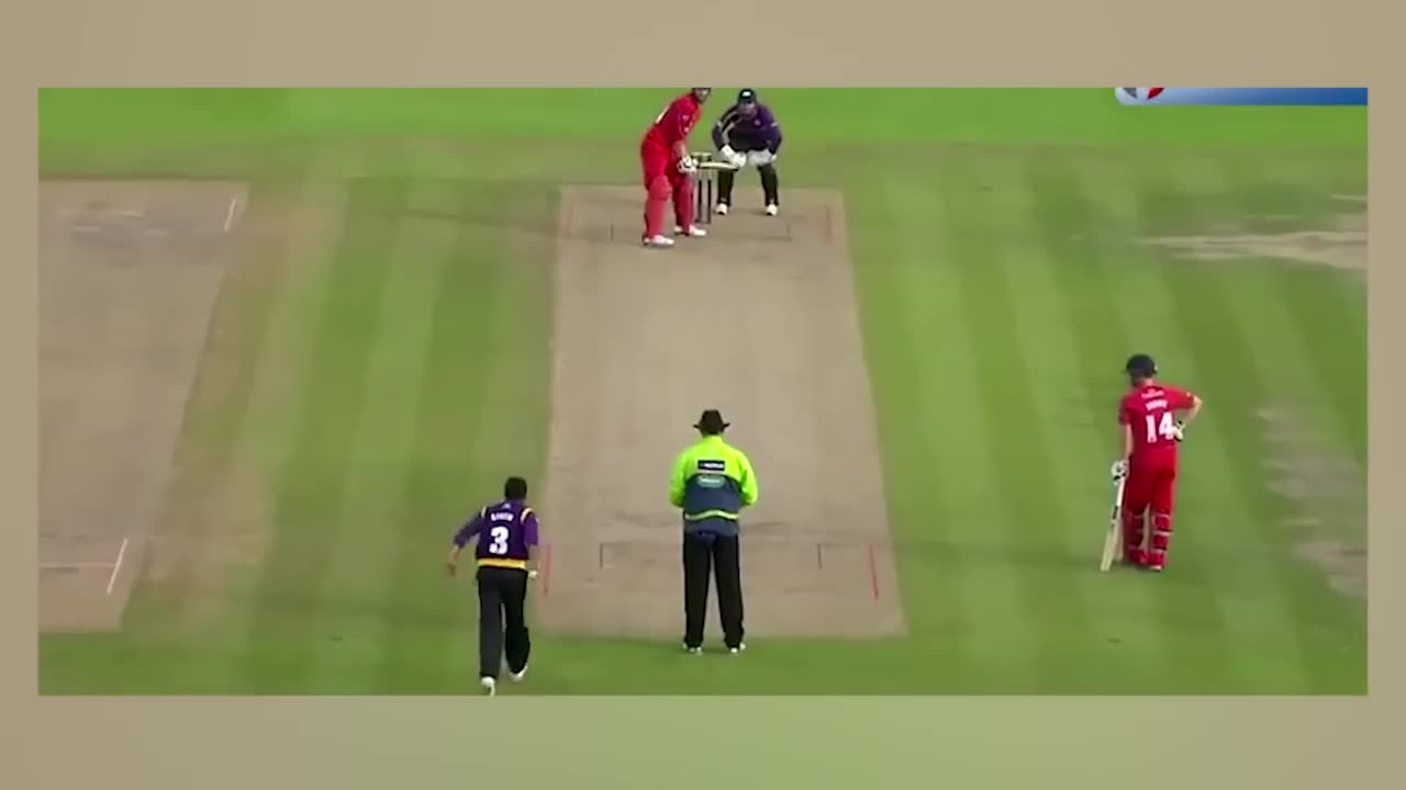 10 Best Catches in Cricket