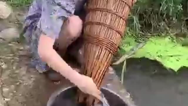 Best Asian Fishing 🐟 Primitive Fishing Techniques