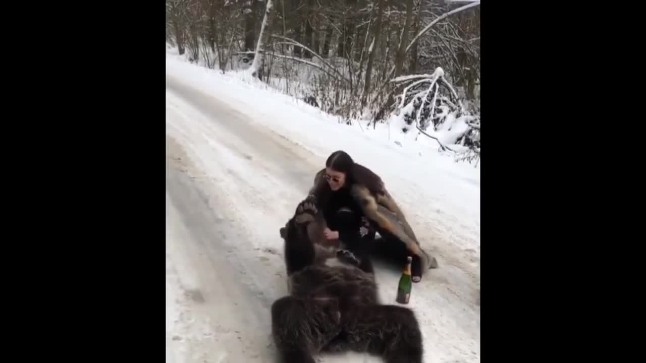 People facing bear attack