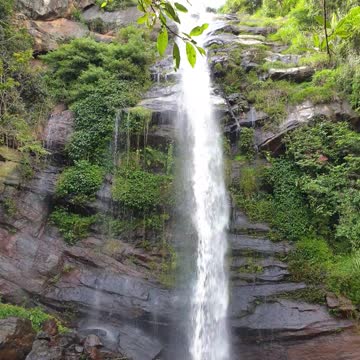 enjoy and no Diabetic