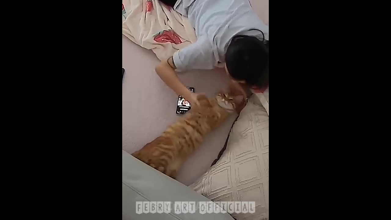 Funniest Video 2022😂Funny cat 🐈 and Dog 🐕 part 1