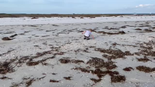 Homeschool beach day