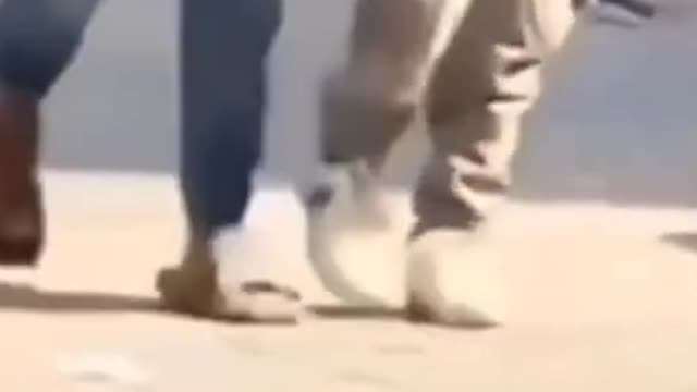 so funny cat video best for ever