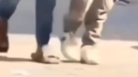 so funny cat video best for ever