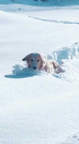 Me going into 2024 😂😂😂🎄🎄🙏🙏🙏🙏