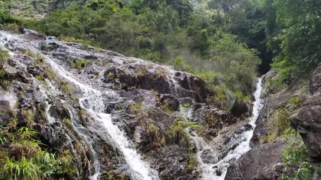 Dragon Claw pond in Hong Kong 龍爪潭