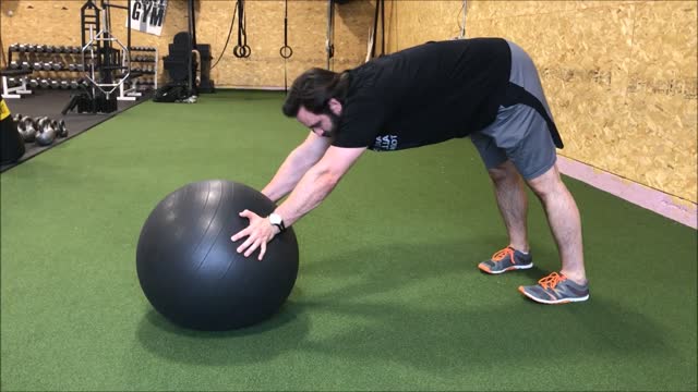 Stabililty Ball Yoga Pushup Old