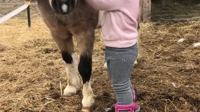 Girl Bonds with Patient Pony