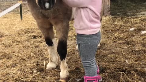 Girl Bonds with Patient Pony