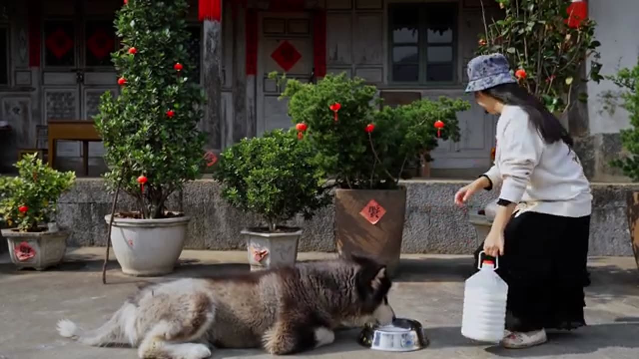 The traditional method of boiling sugar—have you had your first cup of milk tea this autumn yet