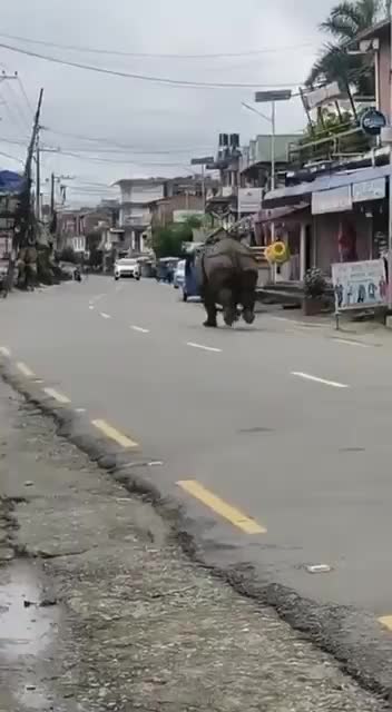 Liz Cheney was just spotted doing last minute campaigning in Wyoming 😂