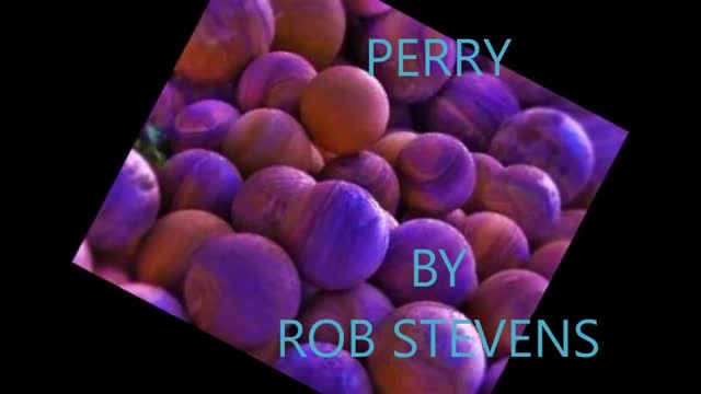 ROB STEVENS - PERRY