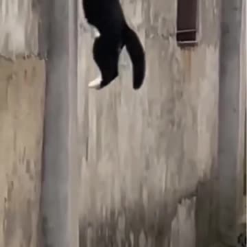 Who was that guy? 🤣😂