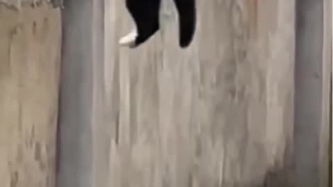 Who was that guy? 🤣😂