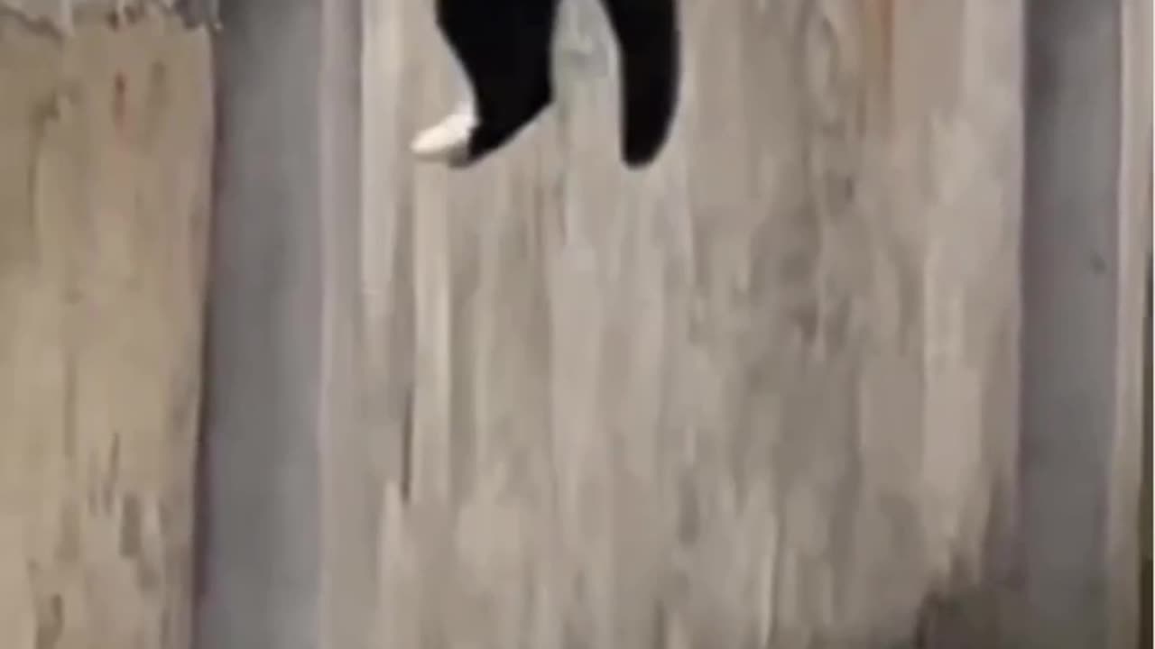 Who was that guy? 🤣😂